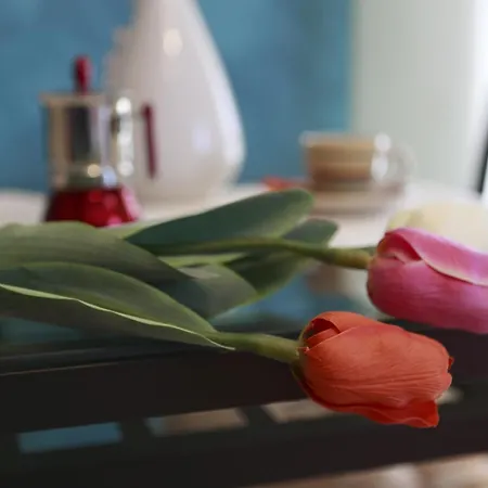 Lejlighedshotel Hestasja Nardò